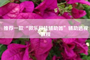 推荐一款“微乐开挂辅助器	”辅助透视教程