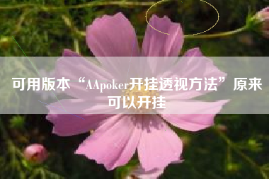 可用版本“AApoker开挂透视方法”原来可以开挂