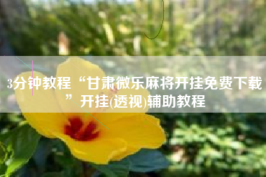 3分钟教程“甘肃微乐麻将开挂免费下载	”开挂(透视)辅助教程