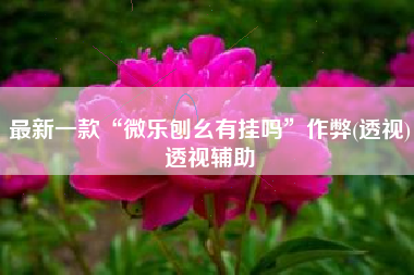 最新一款“微乐刨幺有挂吗	”作弊(透视)透视辅助