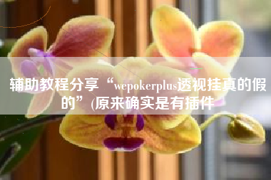 辅助教程分享“wepokerplus透视挂真的假的”(原来确实是有插件