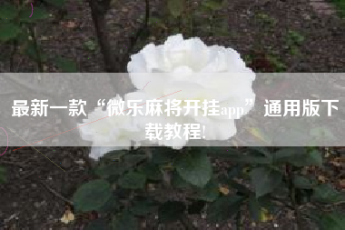 最新一款“微乐麻将开挂app	”通用版下载教程!