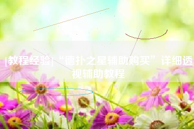 [教程经验]“德扑之星辅助购买”详细透视辅助教程