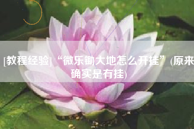 [教程经验]“微乐锄大地怎么开挂	”(原来确实是有挂)