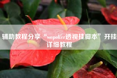 辅助教程分享“wepoker透视挂脚本”开挂详细教程