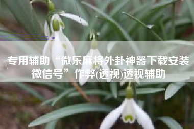 专用辅助“微乐麻将外卦神器下载安装微信号	”作弊(透视)透视辅助