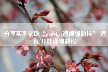 分享实测辅助“wepoker透视辅助挂”(透视)开挂详细教程
