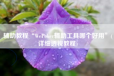 辅助教程“WePoker辅助工具哪个好用”(详细透视教程)
