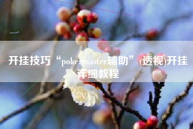 开挂技巧“pokermaster辅助	”(透视)开挂详细教程