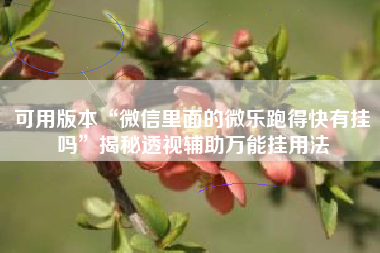 可用版本“微信里面的微乐跑得快有挂吗	”揭秘透视辅助万能挂用法