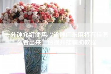 一分钟介绍使用“雀神广东麻将有挂怎么看出来	”透视开挂辅助教程