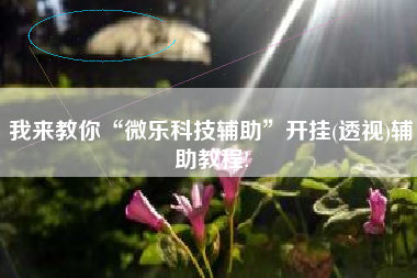 我来教你“微乐科技辅助	”开挂(透视)辅助教程!