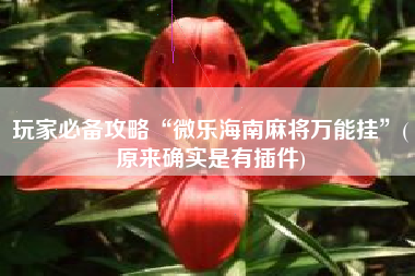 玩家必备攻略“微乐海南麻将万能挂”(原来确实是有插件)