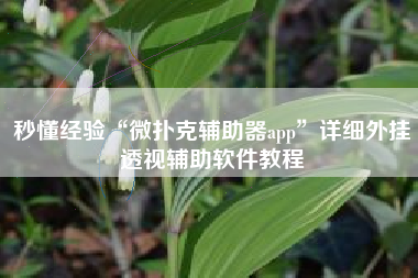 秒懂经验“微扑克辅助器app”详细外挂透视辅助软件教程