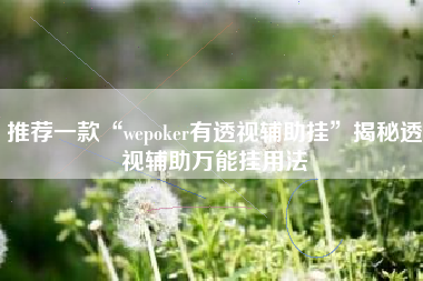 推荐一款“wepoker有透视辅助挂”揭秘透视辅助万能挂用法