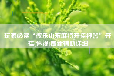玩家必读“微乐山东麻将开挂神器	”开挂(透视)最新辅助详细