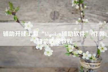 辅助开挂工具“hhpoker辅助软件”(作弊)辅助透视教程