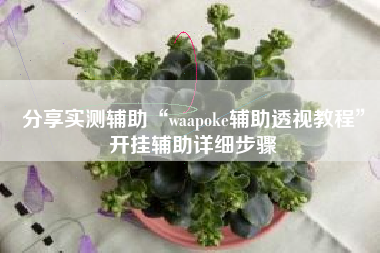 分享实测辅助“waapoke辅助透视教程”开挂辅助详细步骤