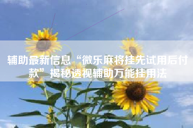 辅助最新信息“微乐麻将挂先试用后付款”揭秘透视辅助万能挂用法