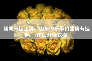 辅助开挂工具“山东微乐麻将建房有挂吗”(详细开挂教程)