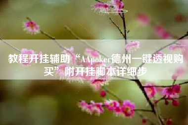 教程开挂辅助“AApoker德州一键透视购买	”附开挂脚本详细步