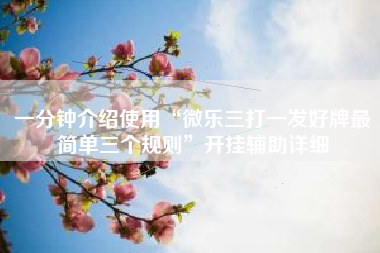 一分钟介绍使用“微乐三打一发好牌最简单三个规则	”开挂辅助详细
