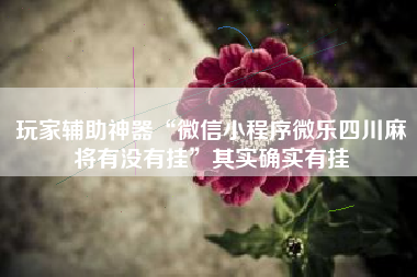 玩家辅助神器“微信小程序微乐四川麻将有没有挂”其实确实有挂