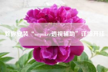 教你安装“wepoker透视辅助	”详细开挂