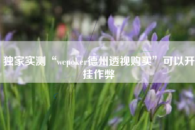 独家实测“wepoker德州透视购买”可以开挂作弊