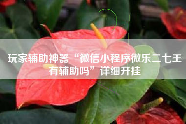 玩家辅助神器“微信小程序微乐二七王有辅助吗	”详细开挂