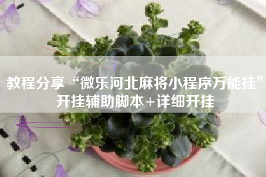 教程分享“微乐河北麻将小程序万能挂	”开挂辅助脚本+详细开挂