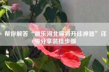 帮你解答“微乐河北麻将开挂神器”详细分享装挂步骤