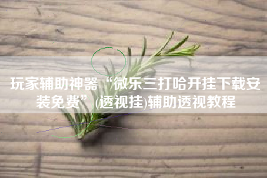 玩家辅助神器“微乐三打哈开挂下载安装免费”(透视挂)辅助透视教程