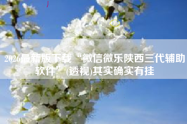 2026最新版下载“微信微乐陕西三代辅助软件”(透视)其实确实有挂