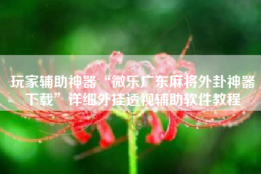 玩家辅助神器“微乐广东麻将外卦神器下载	”详细外挂透视辅助软件教程