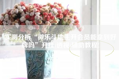 实测分析“微乐斗地主开会员能拿到好牌吗”开挂(透视)辅助教程!