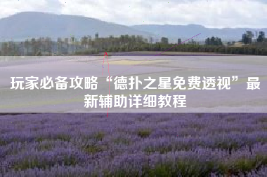 玩家必备攻略“德扑之星免费透视	”最新辅助详细教程