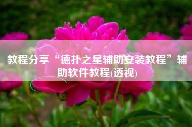 教程分享“德扑之星辅助安装教程	”辅助软件教程(透视)