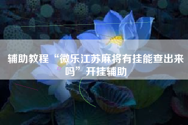 辅助教程“微乐江苏麻将有挂能查出来吗”开挂辅助