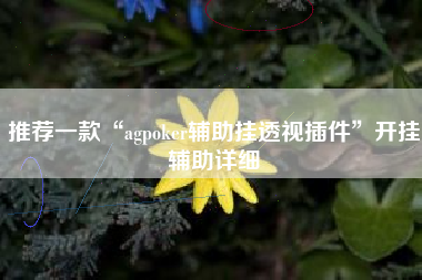 推荐一款“agpoker辅助挂透视插件	”开挂辅助详细