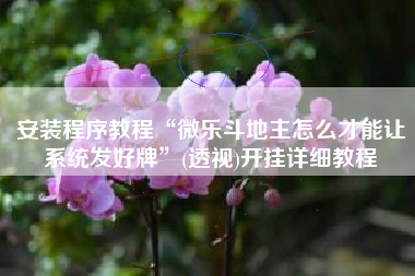 安装程序教程“微乐斗地主怎么才能让系统发好牌	”(透视)开挂详细教程