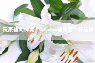 玩家辅助神器“pokemmo辅助器	”开挂辅助