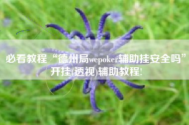 必看教程“德州局wepoker辅助挂安全吗”开挂(透视)辅助教程!