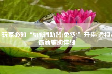 玩家必知“WPK辅助器(免费)”开挂(透视)最新辅助详细