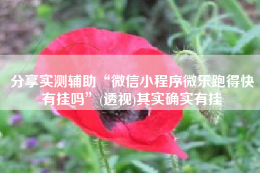 分享实测辅助“微信小程序微乐跑得快有挂吗	”(透视)其实确实有挂