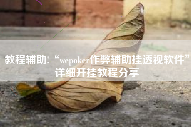 教程辅助!“wepoker作弊辅助挂透视软件	”详细开挂教程分享
