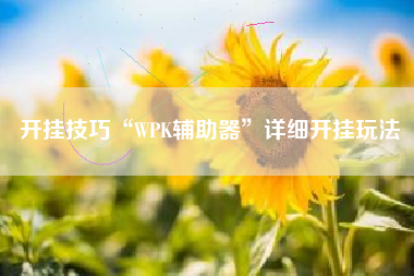 开挂技巧“WPK辅助器”详细开挂玩法