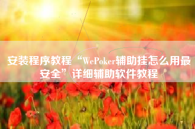 安装程序教程“WePoker辅助挂怎么用最安全”详细辅助软件教程