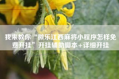 我来教你“微乐江西麻将小程序怎样免费开挂”开挂辅助脚本+详细开挂