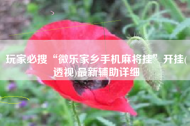 玩家必搜“微乐家乡手机麻将挂	”开挂(透视)最新辅助详细